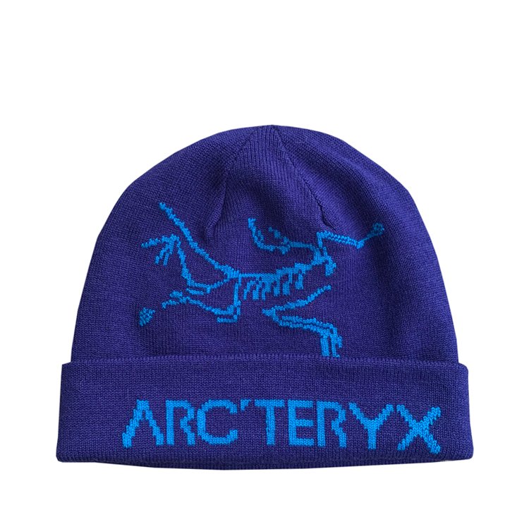Arc'teryx Rolling Word Purple / Teal — Roots